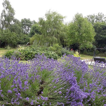 Stoneleigh Barn Bed And Breakfast Sherborne  Bagian luar foto