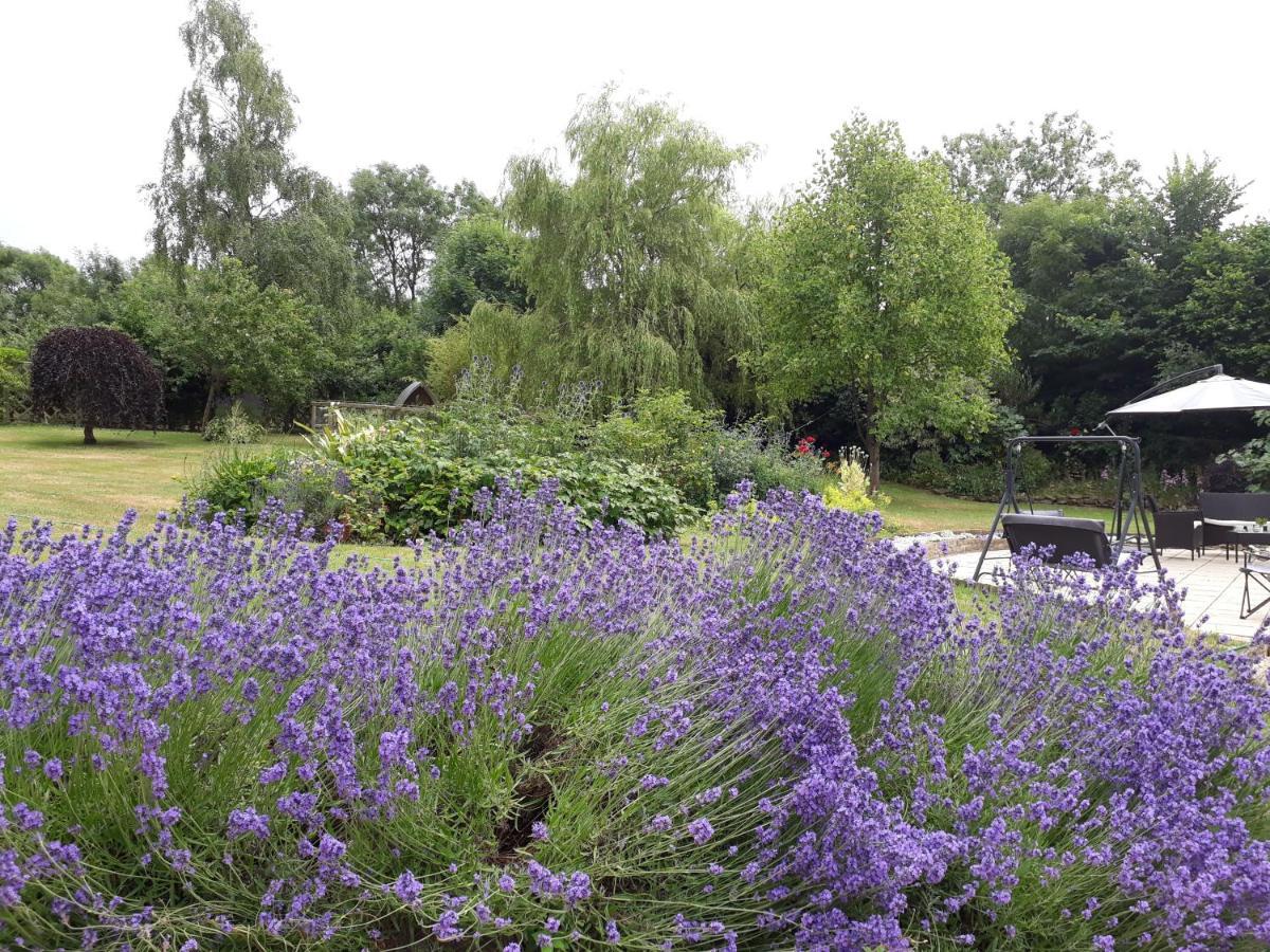 Stoneleigh Barn Bed And Breakfast Sherborne  Bagian luar foto
