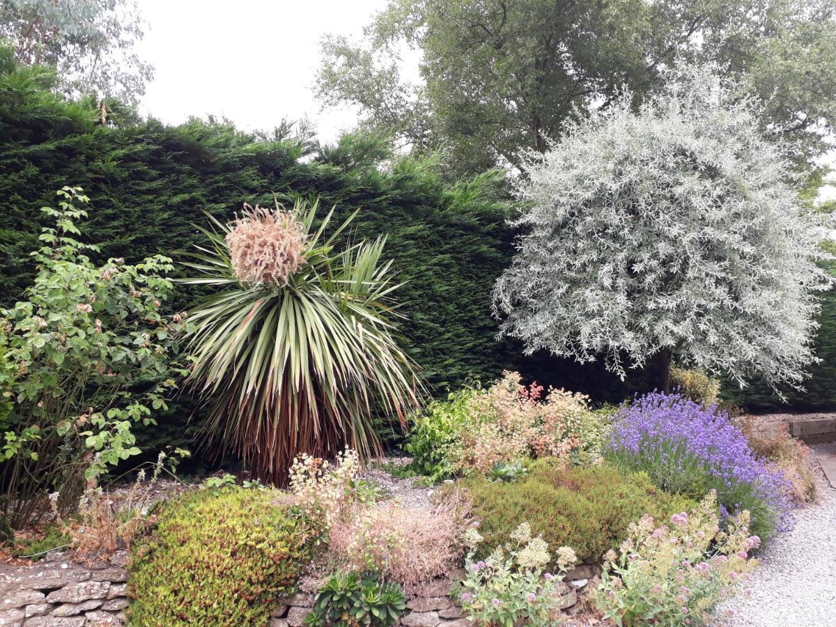 Stoneleigh Barn Bed And Breakfast Sherborne  Bagian luar foto